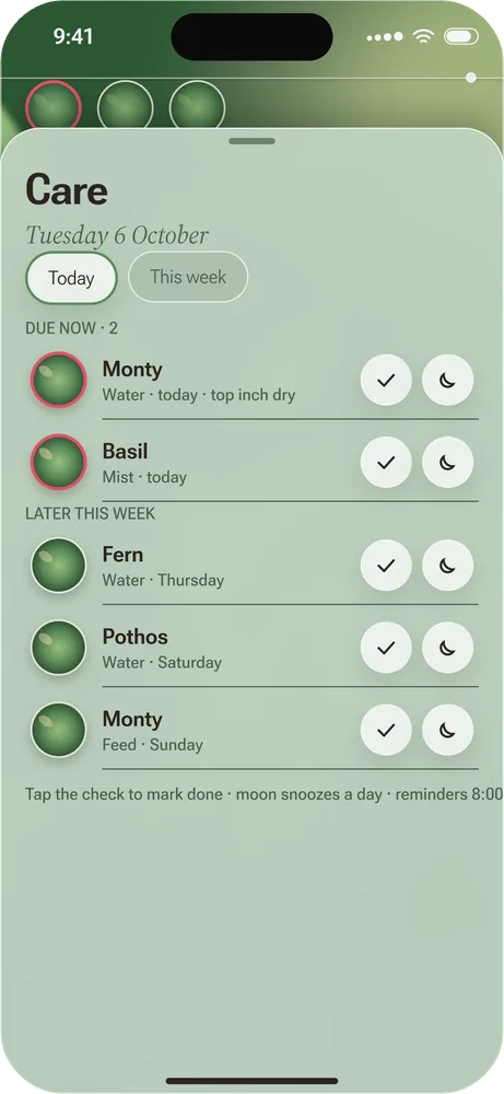 Sprig's Care list for Tuesday: Monty and Basil due now, with Fern, Pothos and Monty later this week.