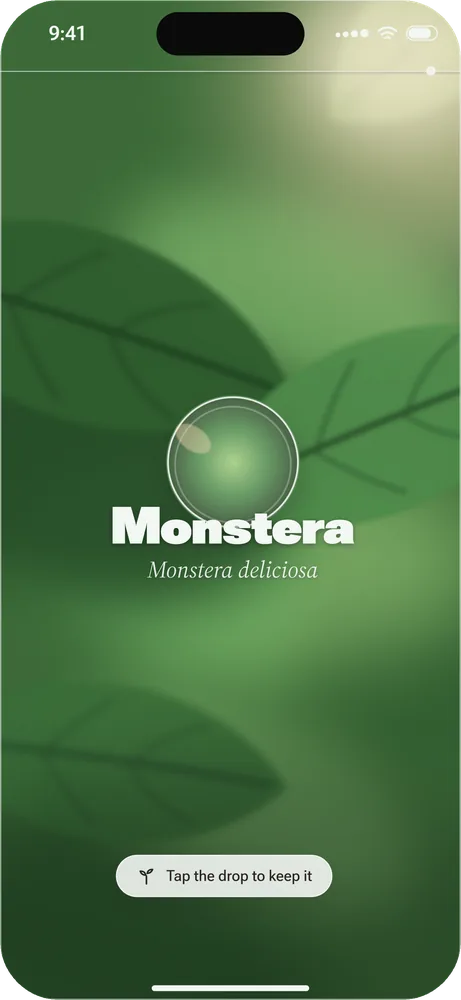 Sprig's camera view over a leaf, with a round glass drop naming it Monstera, Monstera deliciosa, and a hint: tap the drop to keep it.