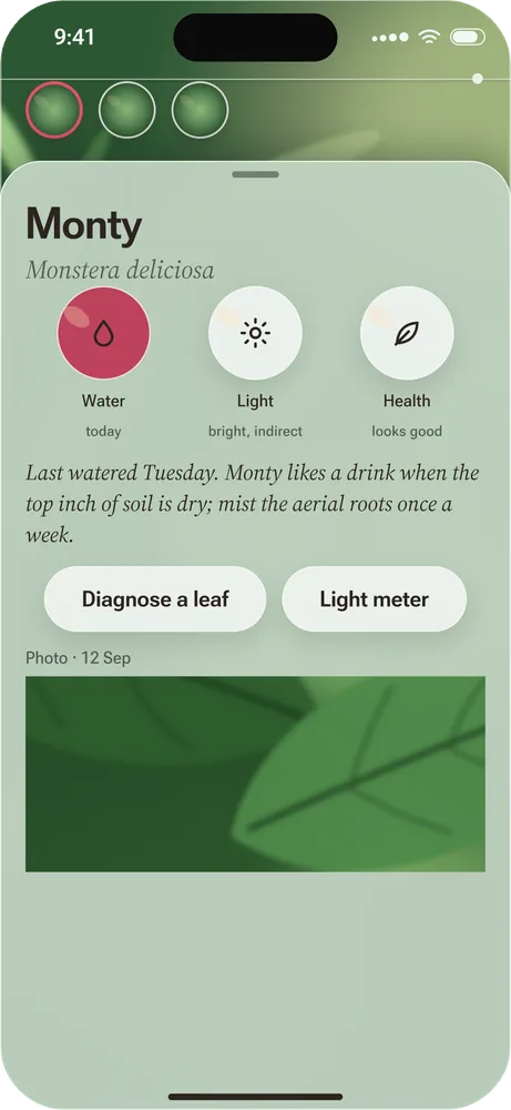 Sprig showing a kept plant called Monty, Monstera deliciosa, with round Water, Light and Health indicators and buttons to diagnose a leaf or use the light meter.